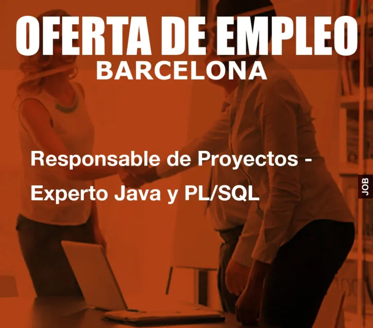 Responsable de Proyectos – Experto Java y PL/SQL