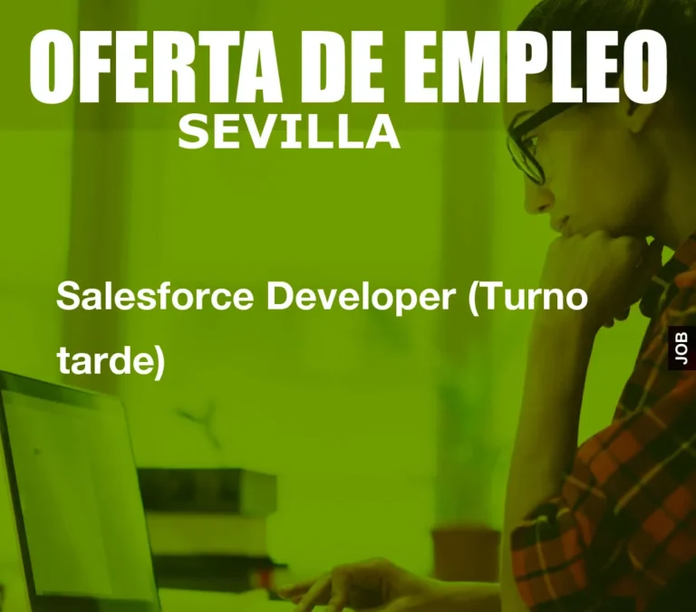 Salesforce Developer (Turno tarde)