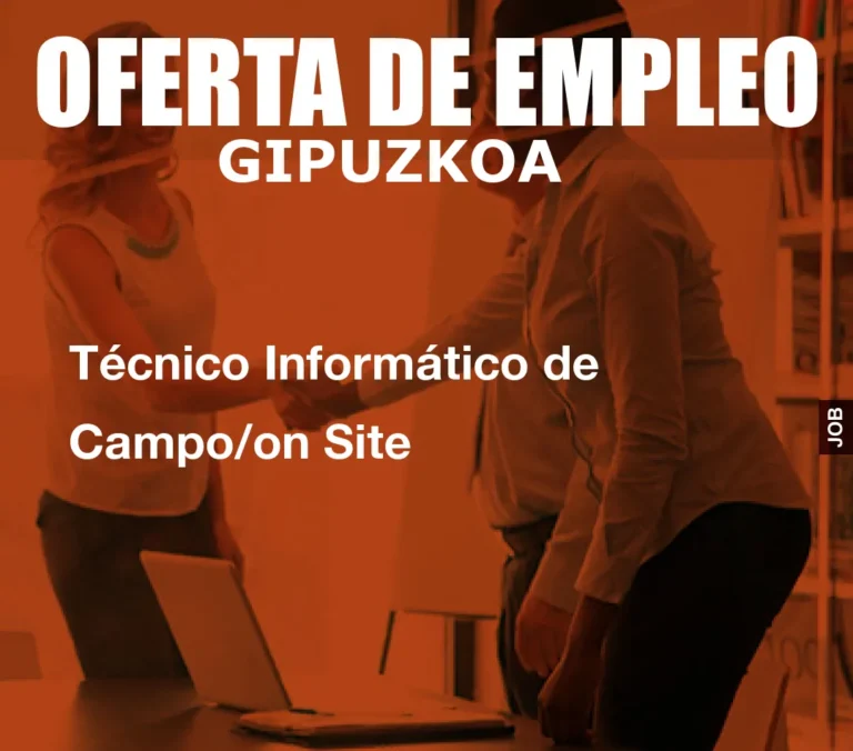 Técnico Informático de Campo/on Site