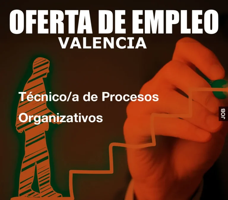 Técnico/a de Procesos Organizativos