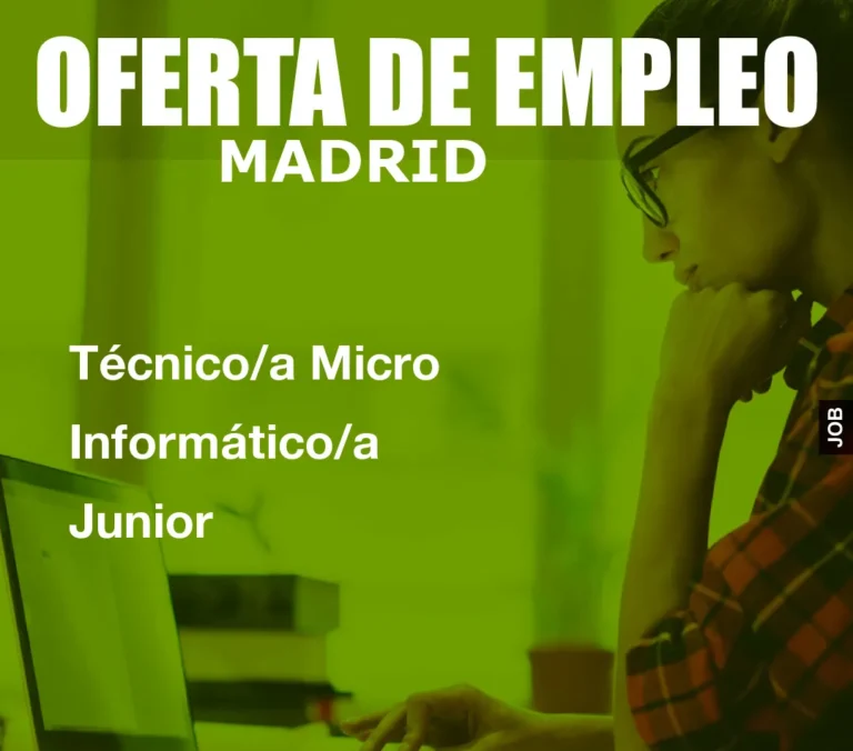 Técnico/a Micro Informático/a Junior