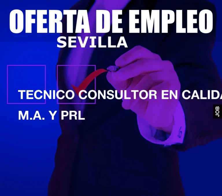 TECNICO CONSULTOR EN CALIDAD, M.A. Y PRL