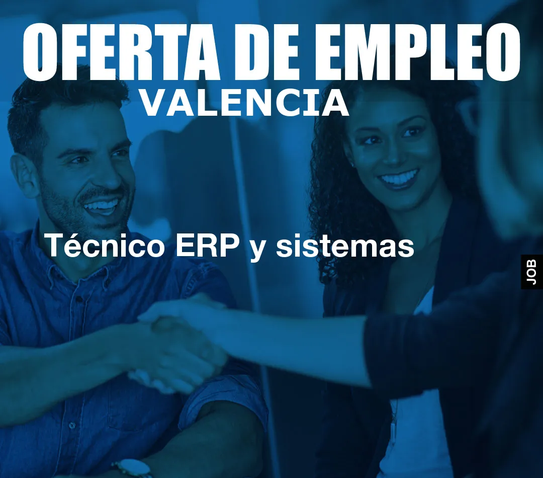 Técnico ERP y sistemas