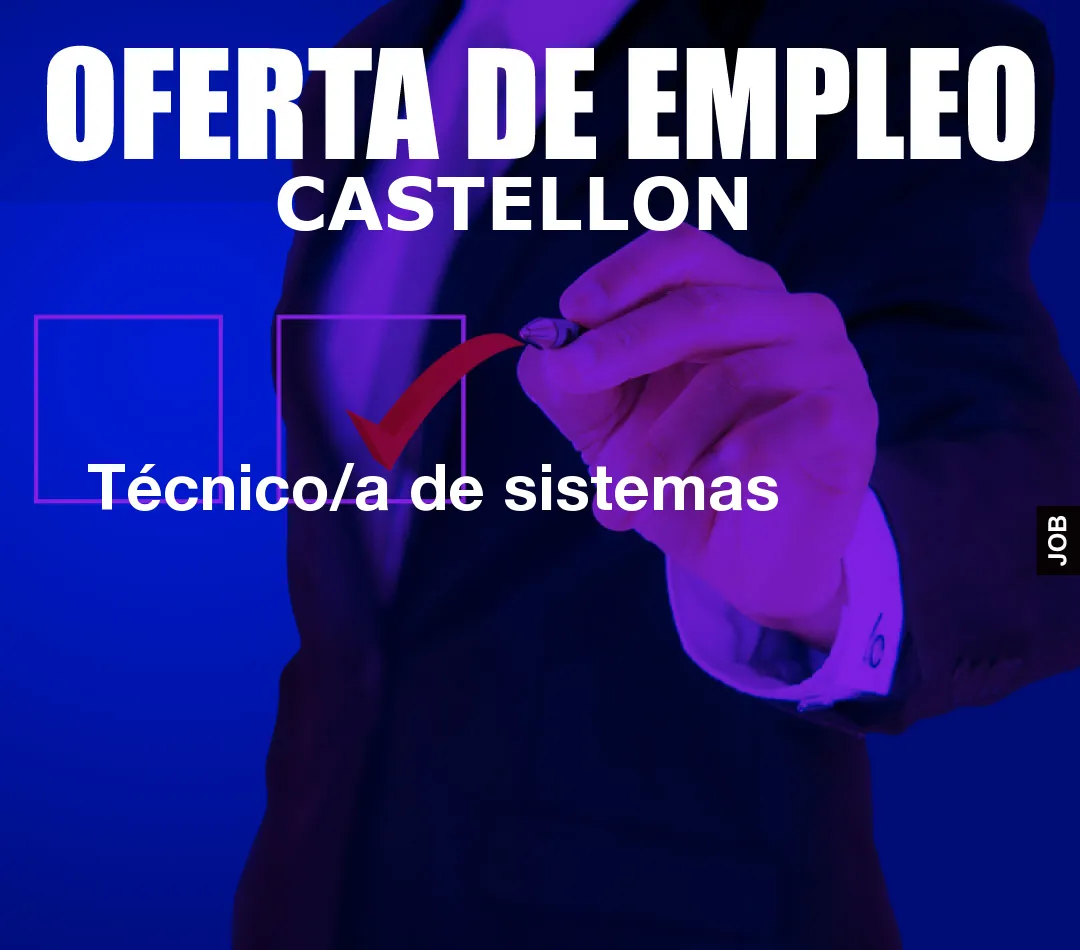 Técnico/a de sistemas