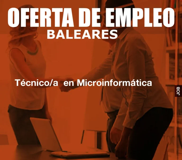 Técnico/a  en Microinformática