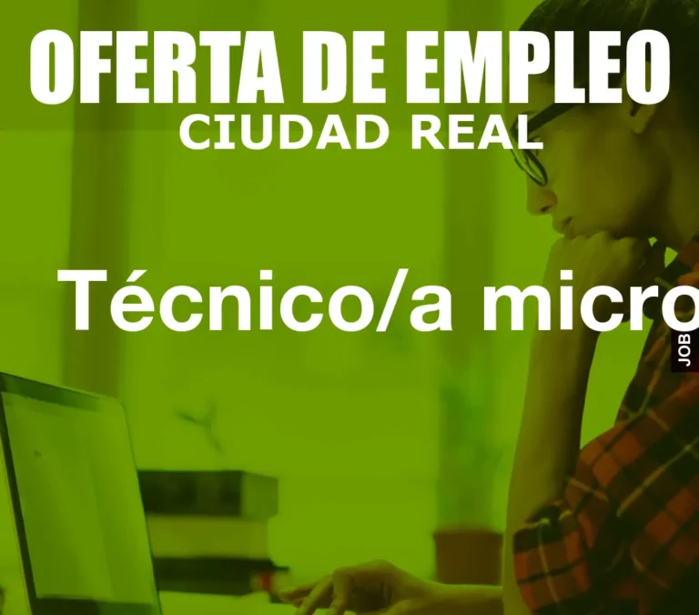 Técnico/a micro