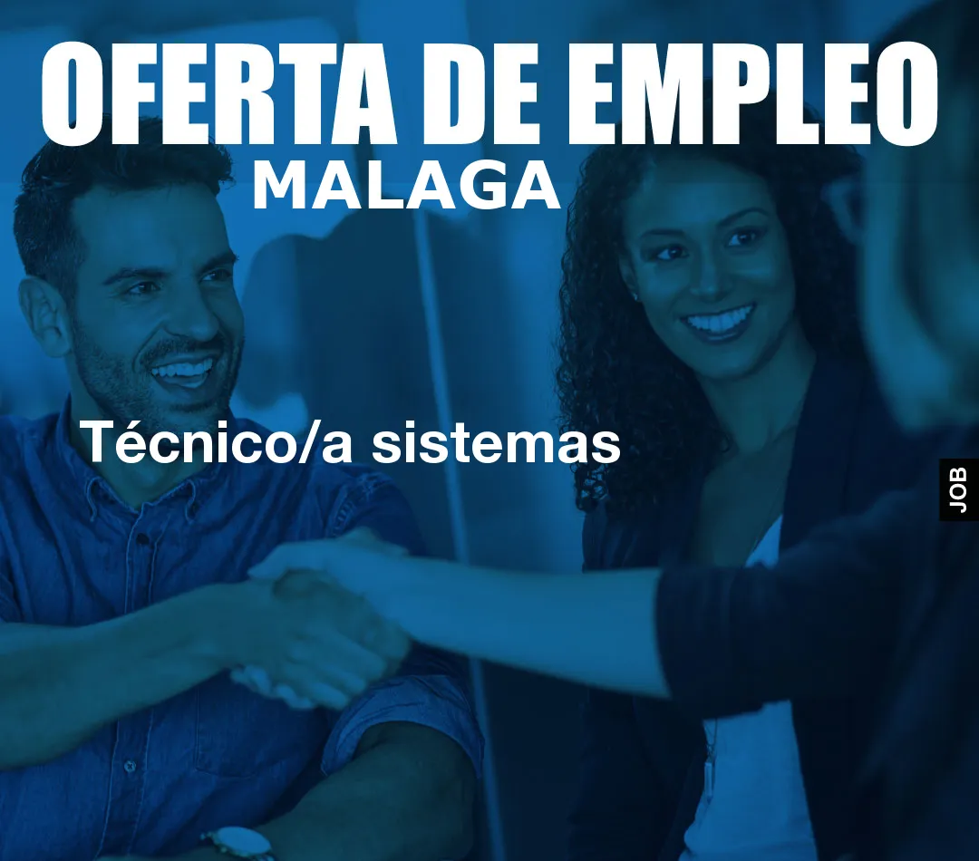 Técnico/a sistemas