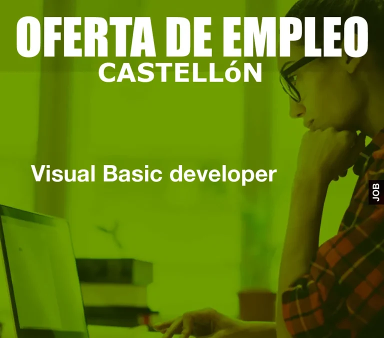 Visual Basic developer